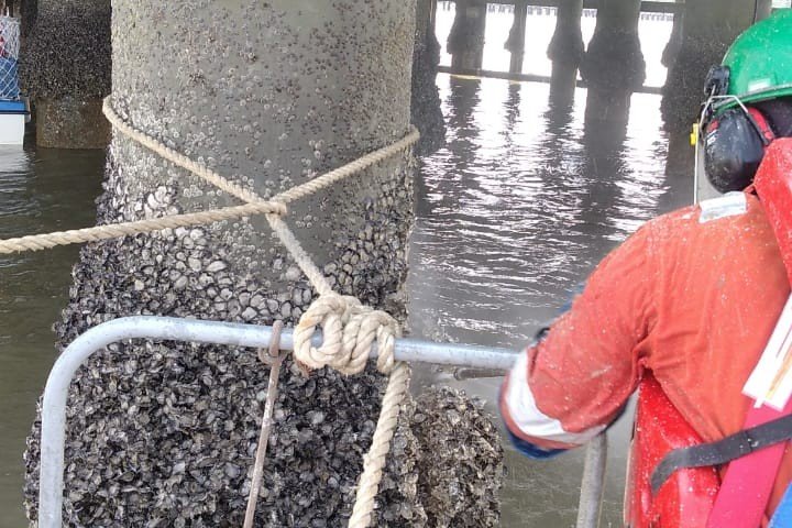Process cleaning of a piling
